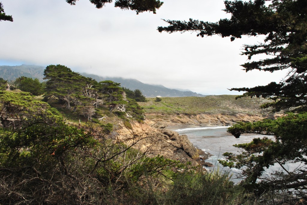Trees frame a view of a cove and hills